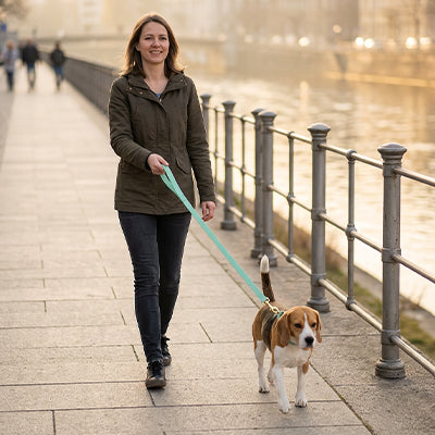 Pomenade avec la longe pour chien le long du fleuve