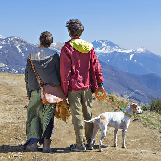 Longe pour chien | Vacances™