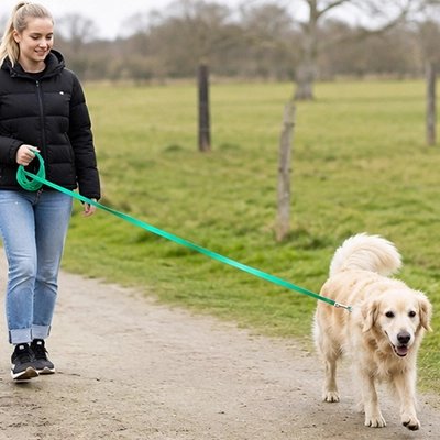 Longe pour chien vert clair