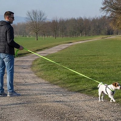 Longe pour chien vert en nature