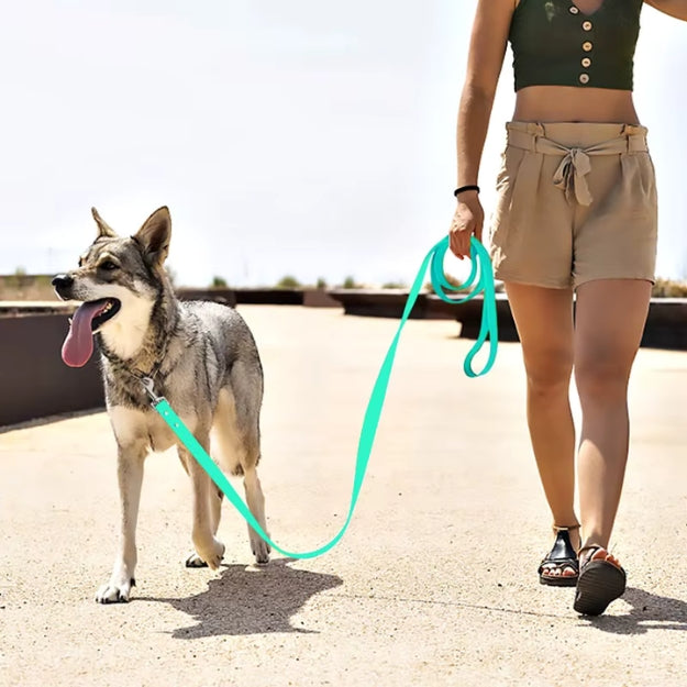Longe pour chien | Robuste et légère
