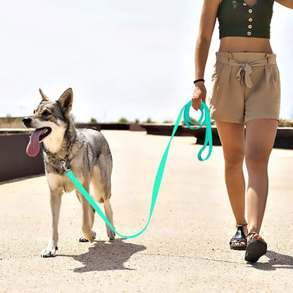 Longe pour chien | Robuste et légère