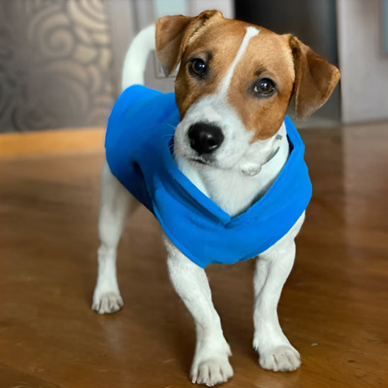 Manteau chien | Chaleur & Douceur