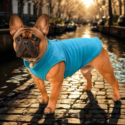 Manteau chien | Chaleur & Douceur