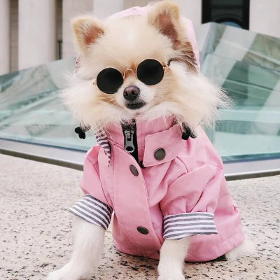 manteau chien ciré rose élégance et durabilité