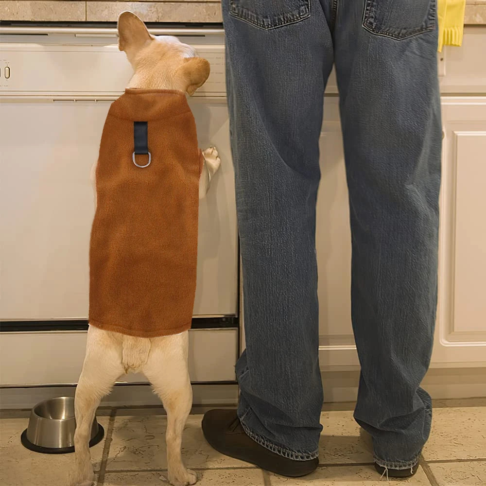 Manteau pour petit chien - DogPolaire™ - Je Promène Mon Chien - petit chien et son maitre dans la cuisine