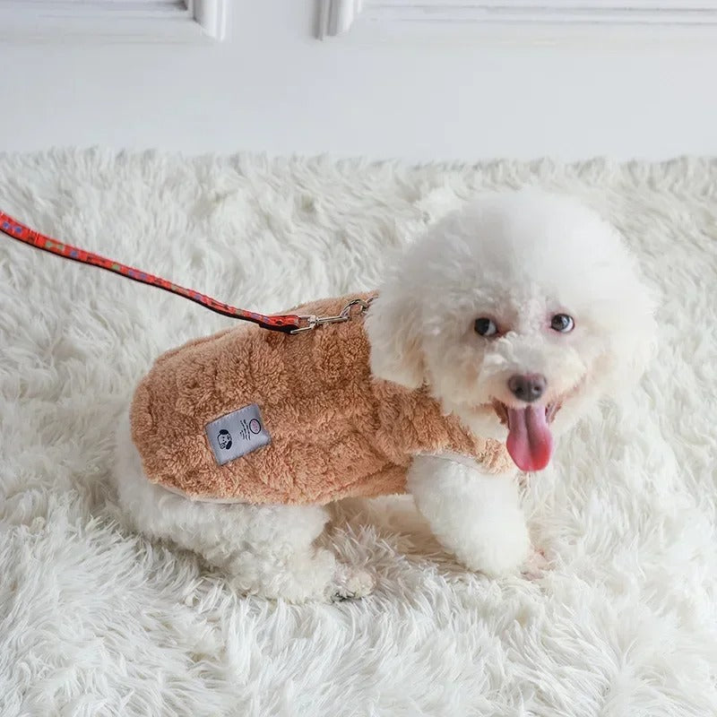 Manteau chien | Élégant & chaud