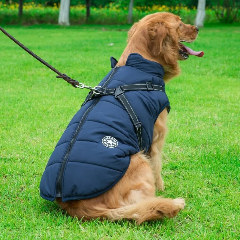 Manteau Chien | MaxiTout™