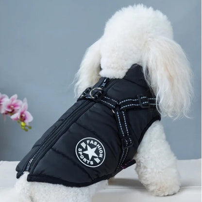 Manteau Chien | MaxiTout™