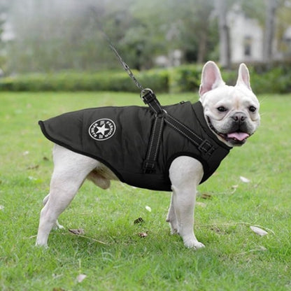 Manteau Chien | MaxiTout™