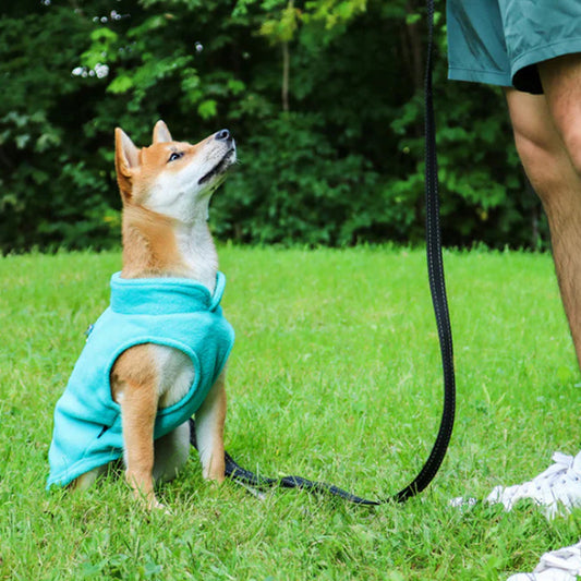 Manteau chien | Chaleur & Douceur