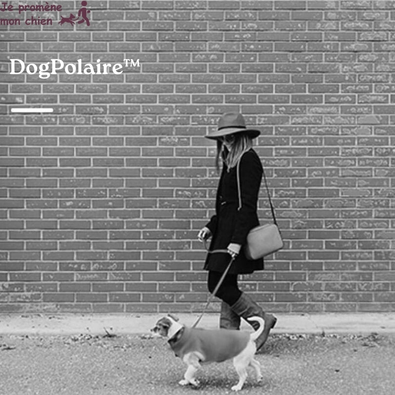 Manteau pour petit chien - DogPolaire™ - Je Promène Mon Chien - dans la rue