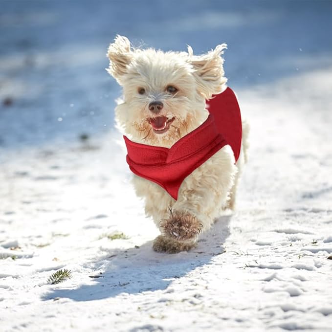 Manteau chien | Chaleur & Douceur