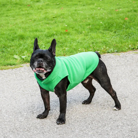 Manteau chien | Chaleur & Douceur