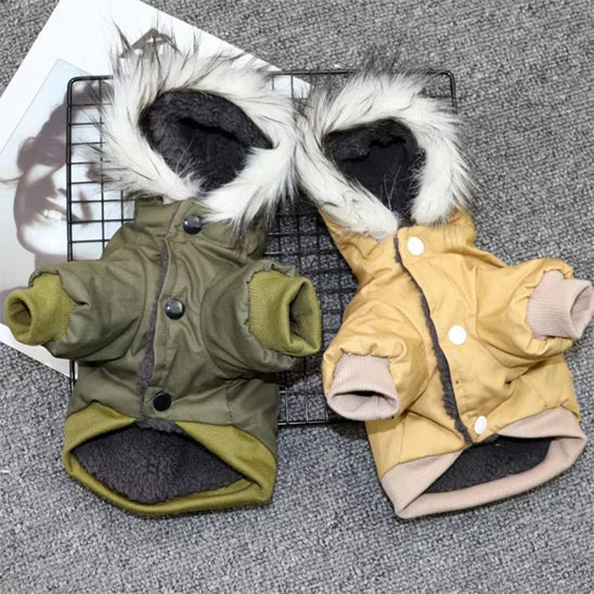 Manteau pour chien | Cozy Winter