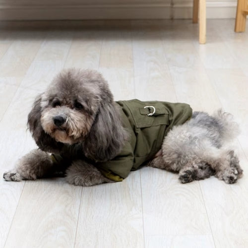 Manteau pour chien | Cozy Winter