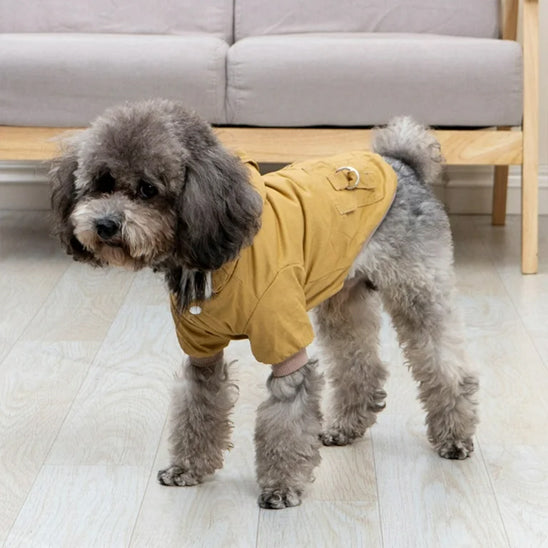 Manteau pour chien | Cozy Winter