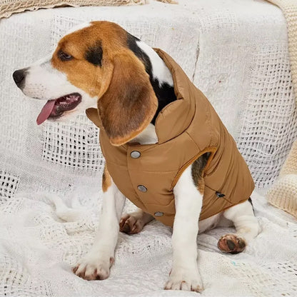 Manteau pour chien | Imperméable Hivernal