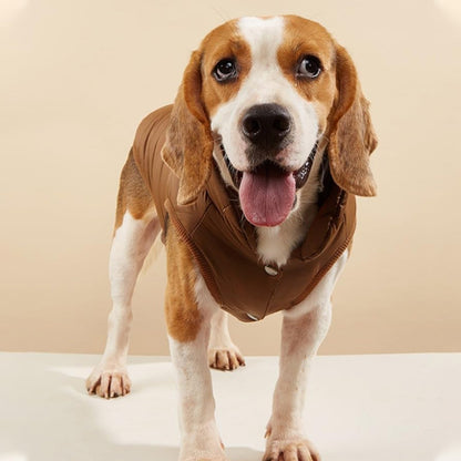 Manteau pour chien | Imperméable Hivernal