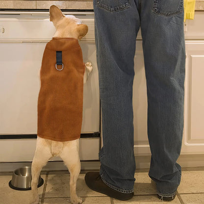 Manteau pour chien - DogPolaire™