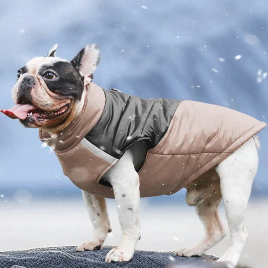 Manteau pour chien - Mantelure™ - doudoune grand chien - Je Promène Mon Chien