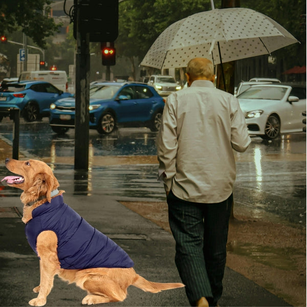 Manteau pour chien | Imperméable Hivernal