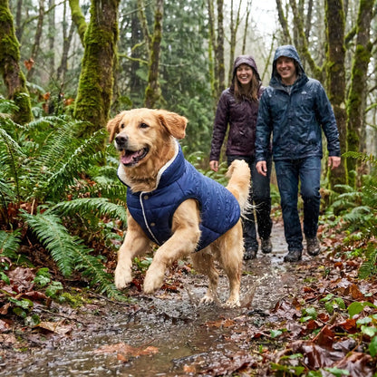 Manteau pour chien | Imperméable Hivernal