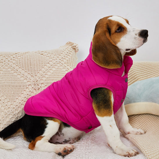 Manteau pour chien | Imperméable Hivernal