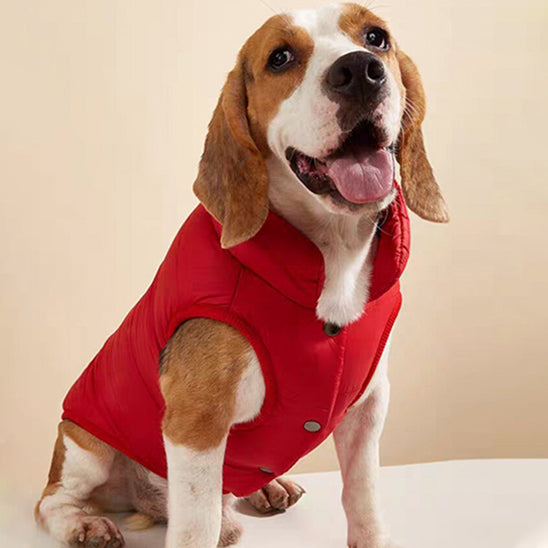 Manteau pour chien | Imperméable Hivernal