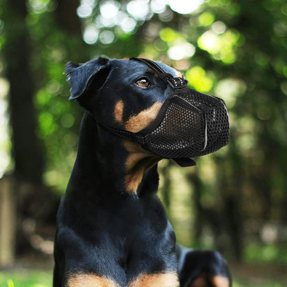 Muselière | Respirante™