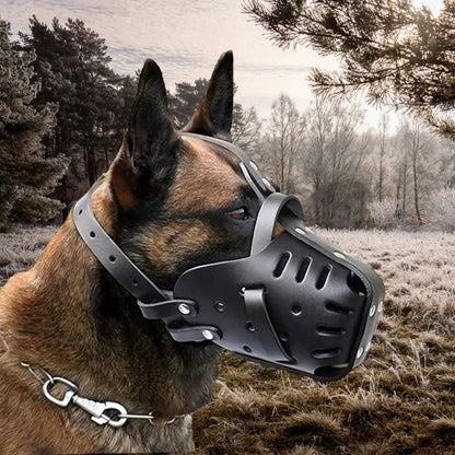 Muselière cage | Sécurité sereine