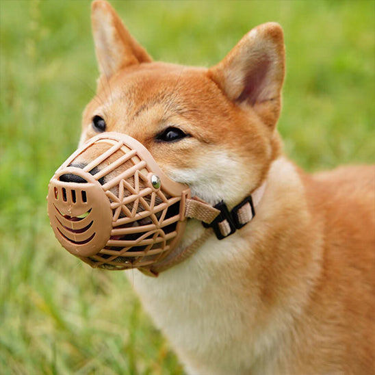 Muselière cage | Style Panier