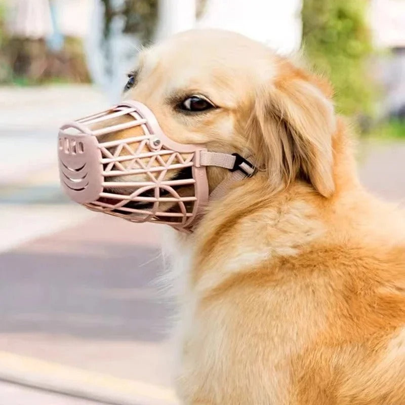 Muselière cage | Style Panier