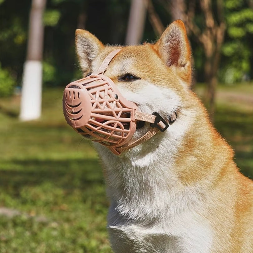 Muselière cage | Style Panier