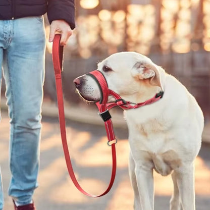 muselière chien ajustable rouge