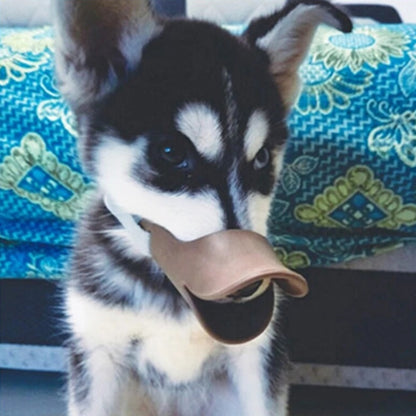 Muselière chien grise