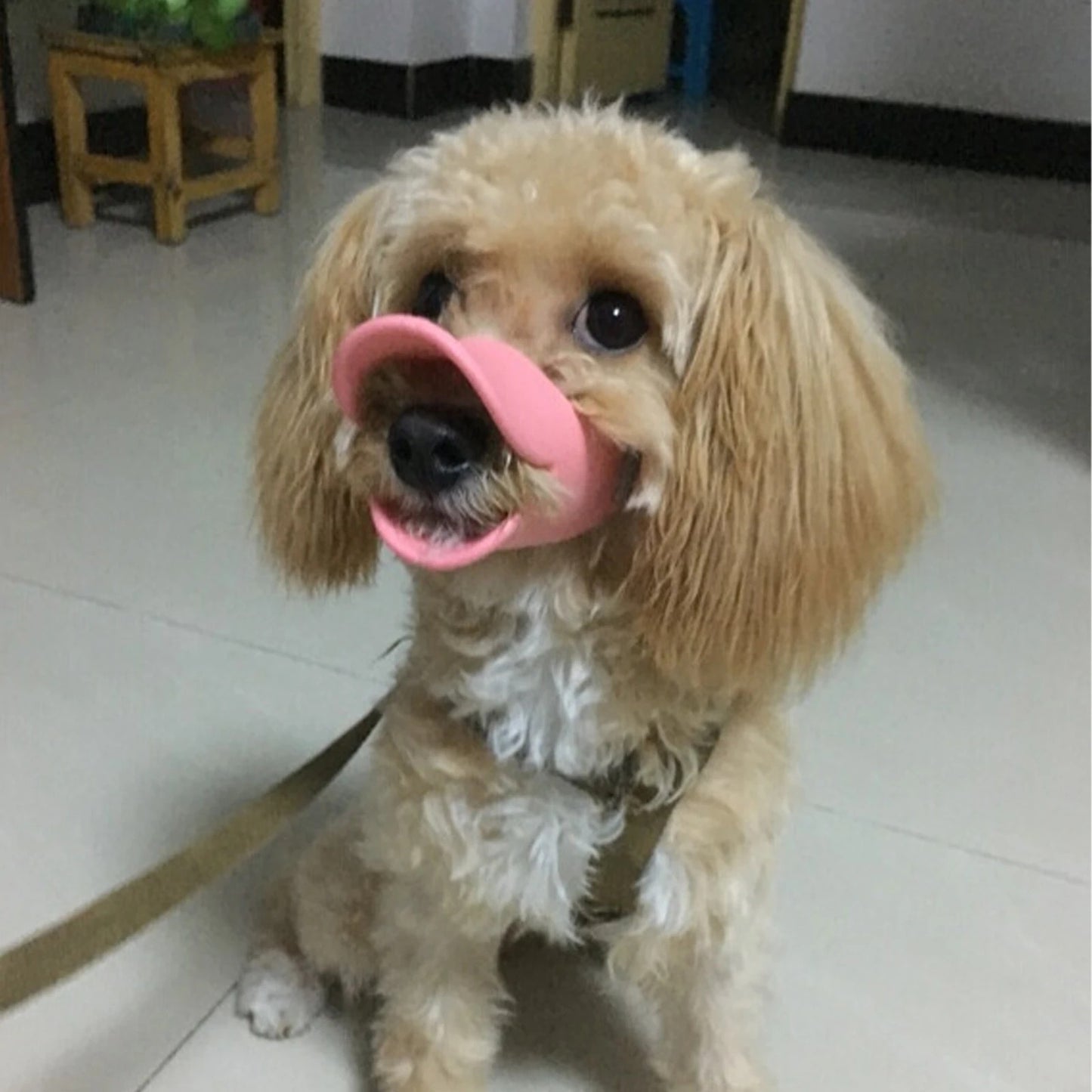 Muselière chien rose