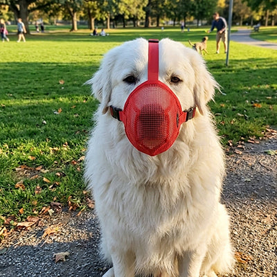 Muselière chien | Respect™