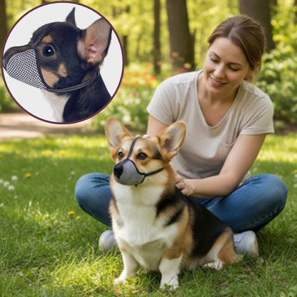 Muselière petit chien | Confort Respirant