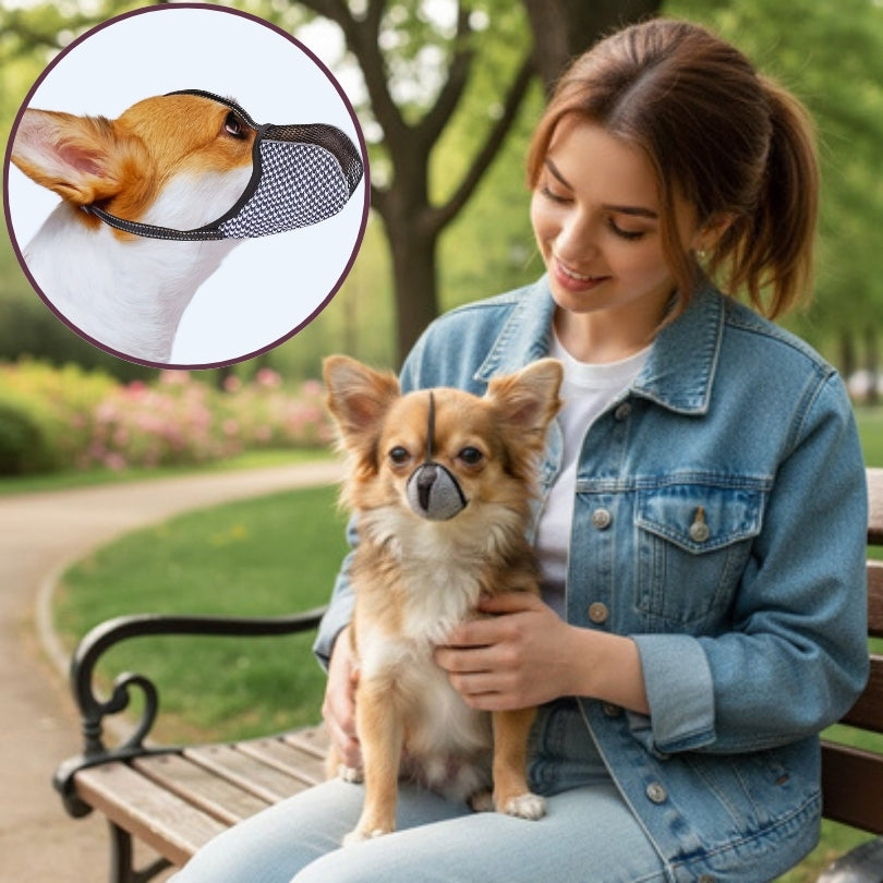 Muselière petit chien | Confort Respirant