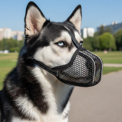 Muselière | Respirante™