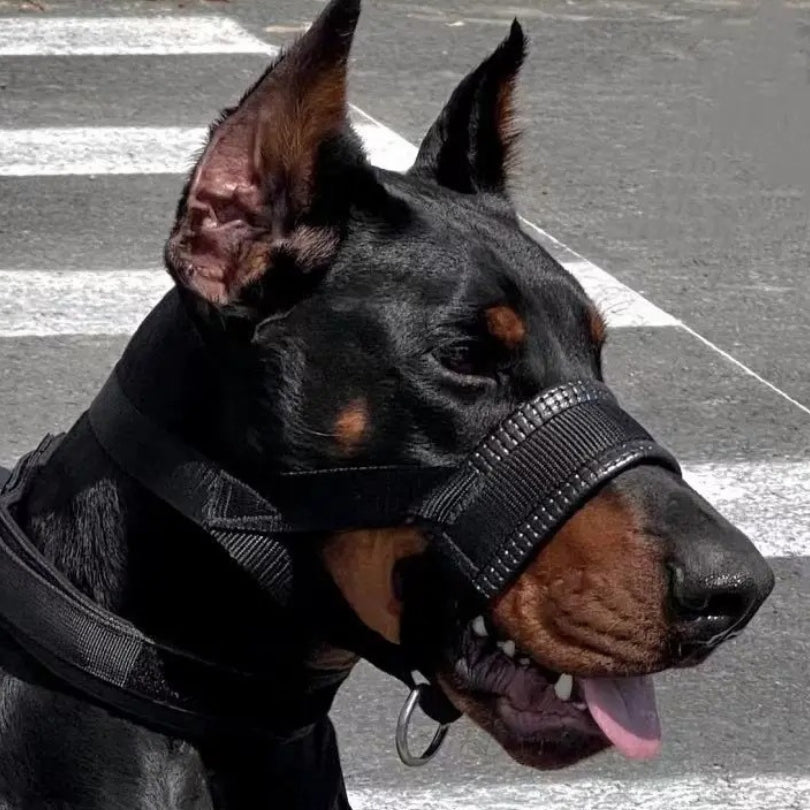 Muselière | Sérénité™