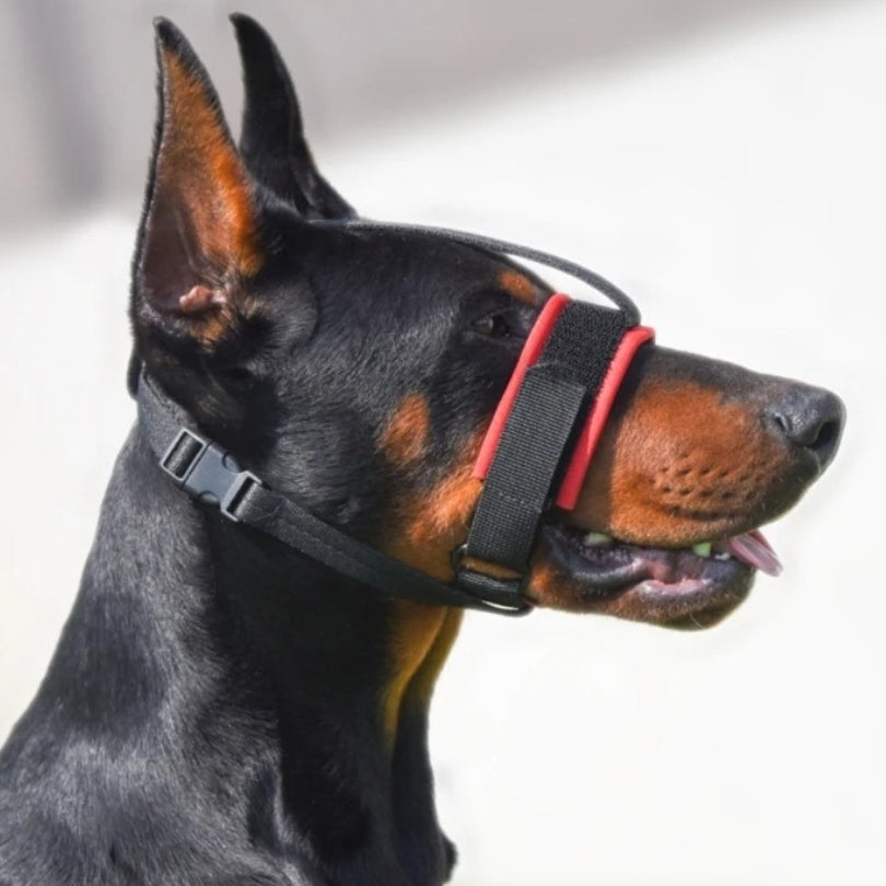 Muselière | Sérénité™