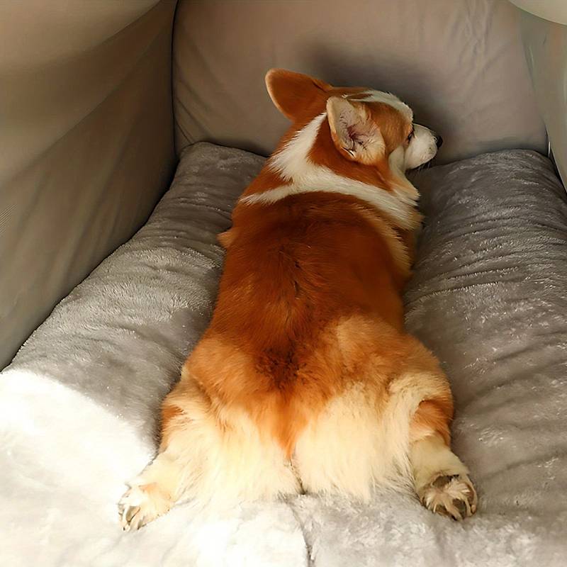 NICHE POUR CHIEN INTERIEUR - VIPALCOVE™ - Je Promène Mon Chien