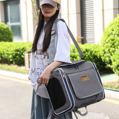 Panier à vélo pour Chien | Polyvalent et Confortable