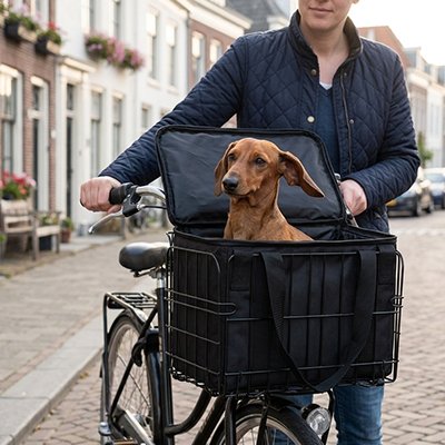 Panier pour vélo chien