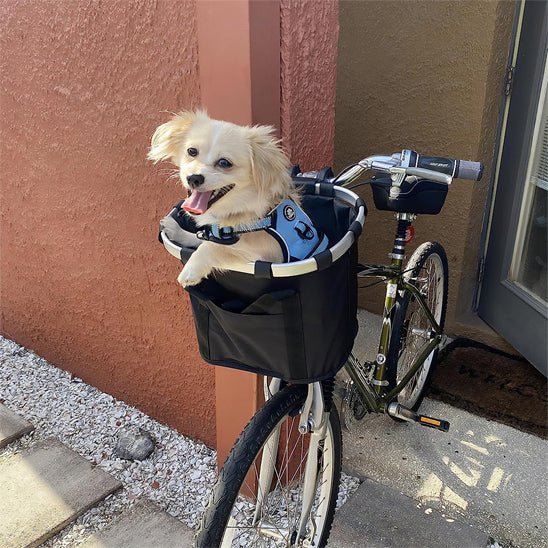PANIER VELO | BAGBIKE™ NOIR - Je Promène Mon Chien