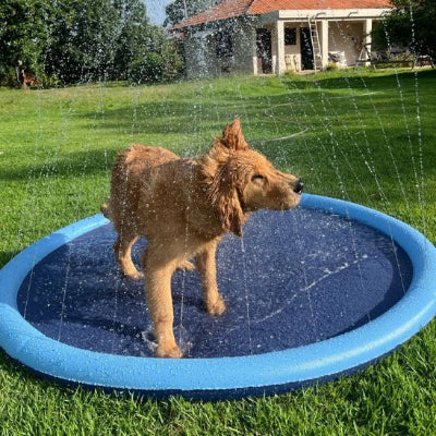 Piscine pour chien Coolpet au jardin avec chien qui s'ébroue