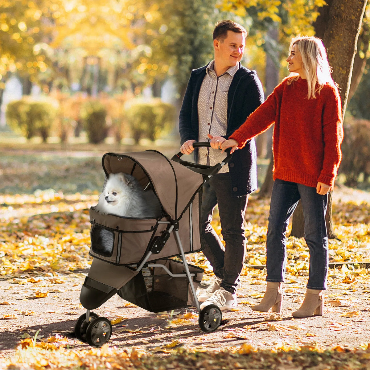 Poussette à chien couple dans un parc en automne