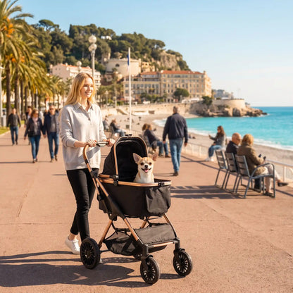 Poussette pour chien sur la Promenade des Anglais
